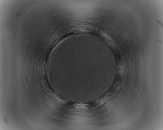 X0000097850465200804041510