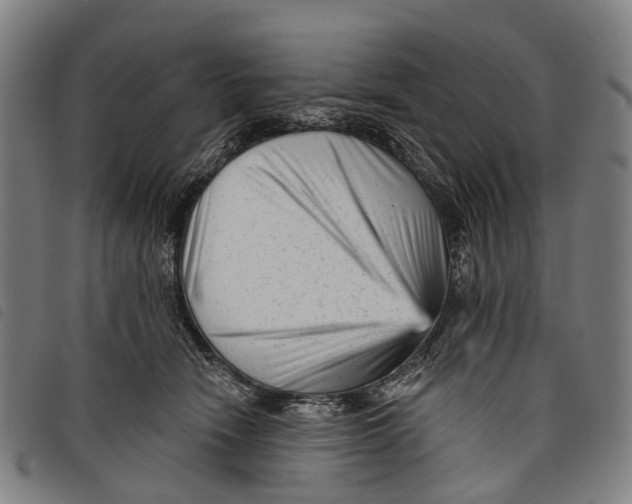 X0000097850466200804041510