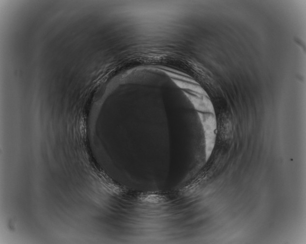 X0000097850467200804041510