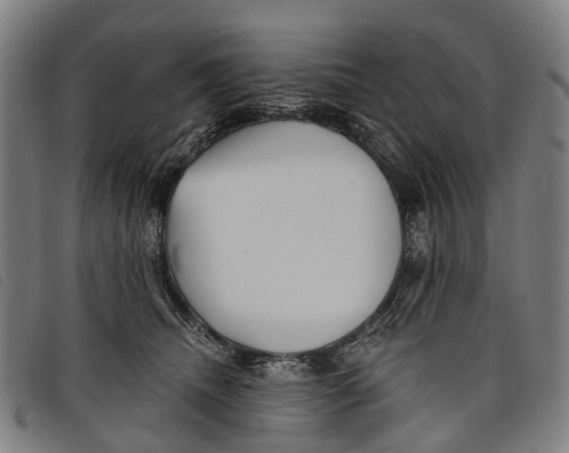 X0000097850468200804041510