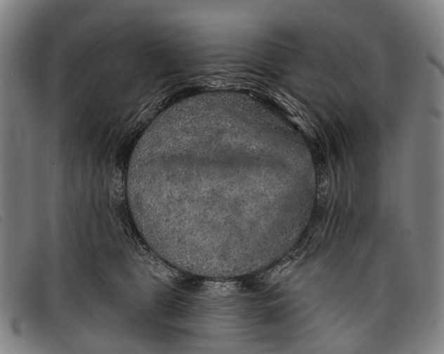 X0000097850469200804041510