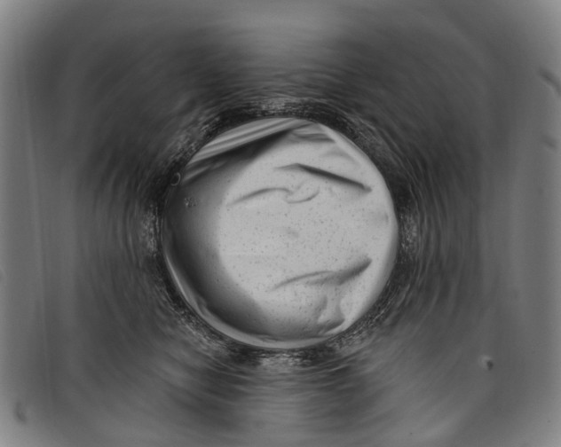 X0000097850470200804041510