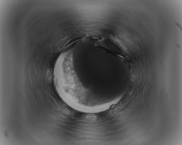 X0000097850471200804041510