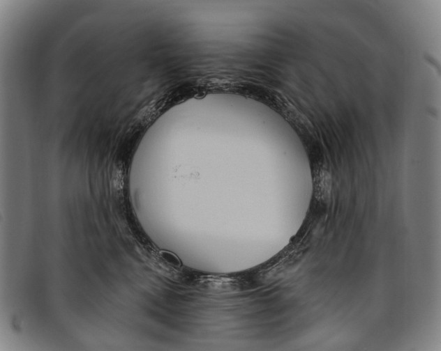 X0000097850472200804041510