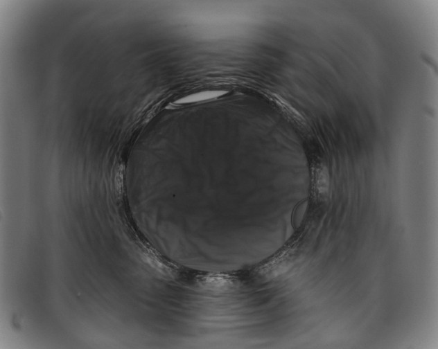 X0000097850475200804041510