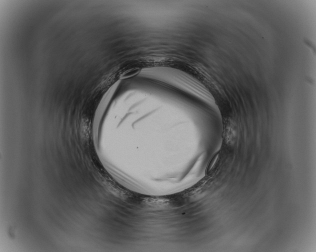 X0000097850476200804041510