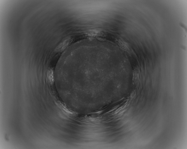 X0000097850479200804041511