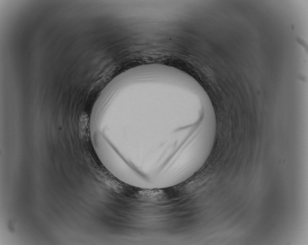 X0000097850480200804041511