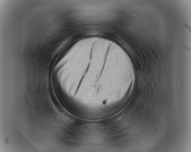 X0000097850482200804041510