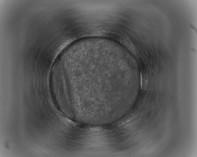 X0000097850483200804041510