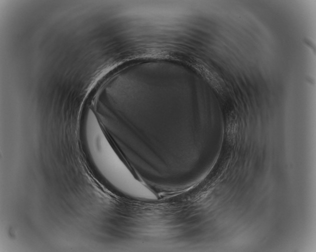 X0000097850484200804041510