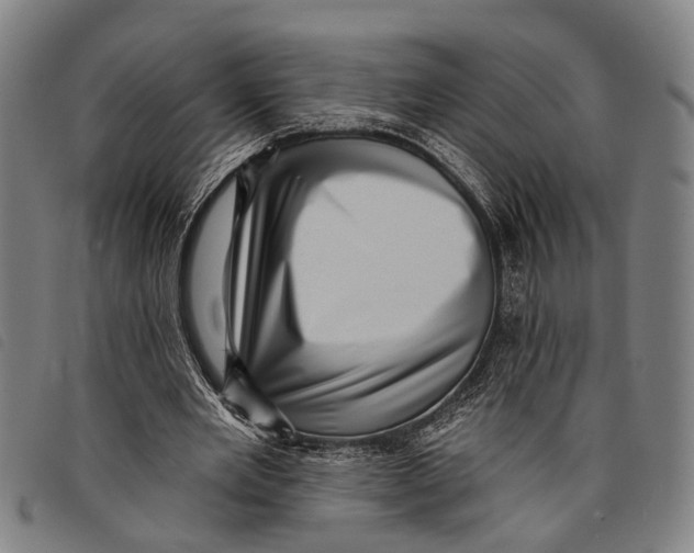 X0000097850485200804041510