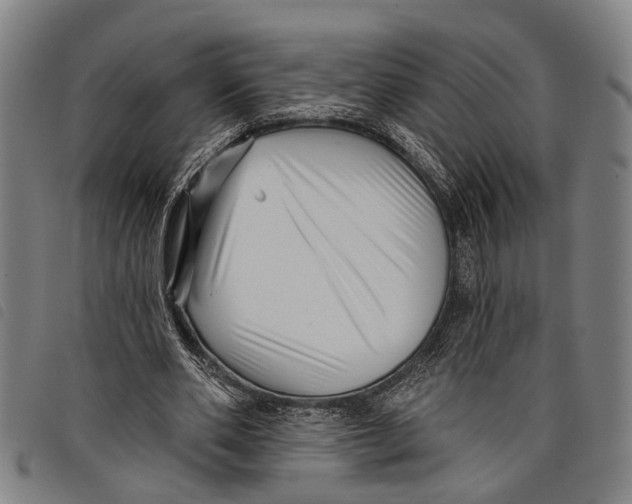 X0000097850486200804041510