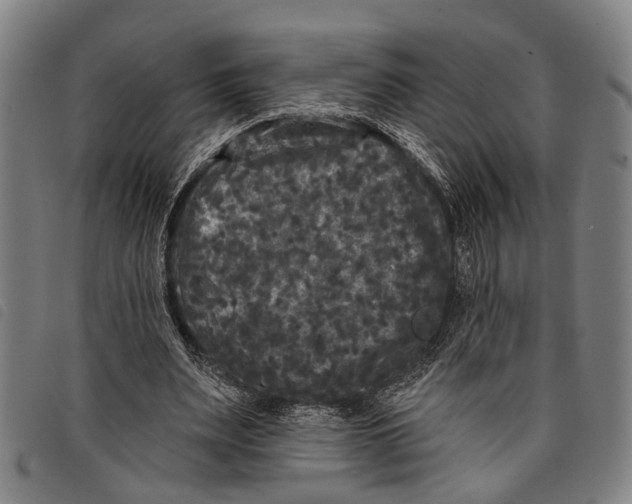 X0000097850487200804041510