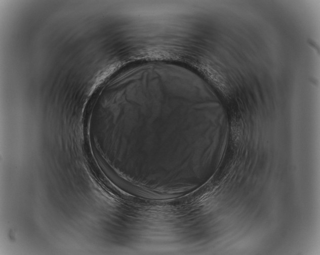 X0000097850488200804041510