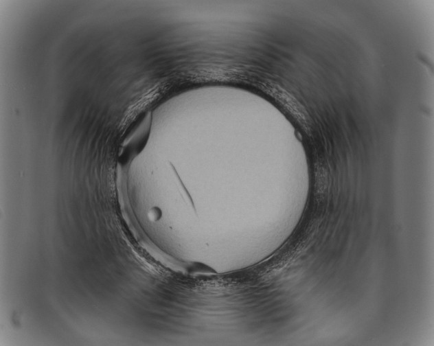 X0000097850489200804041510