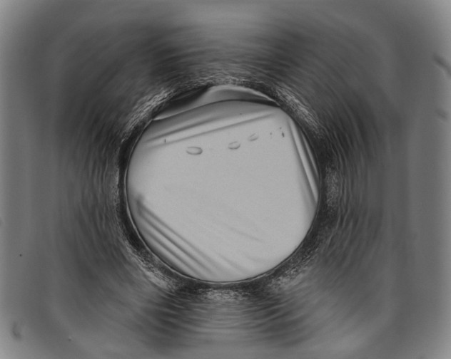 X0000097850490200804041510