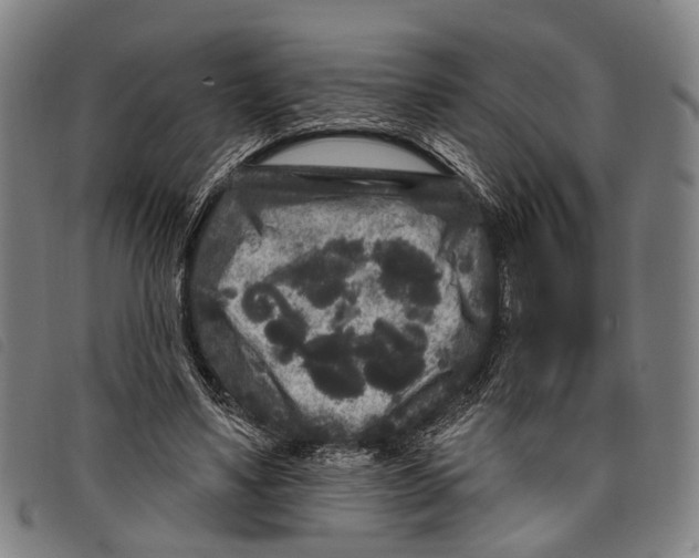 X0000097850491200804041510