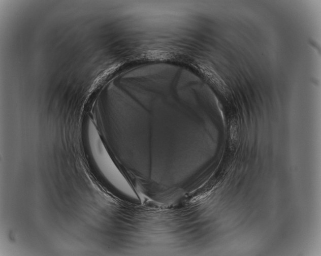 X0000097850492200804041510