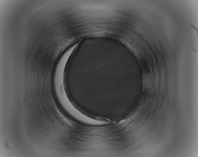 X0000097850493200804041510