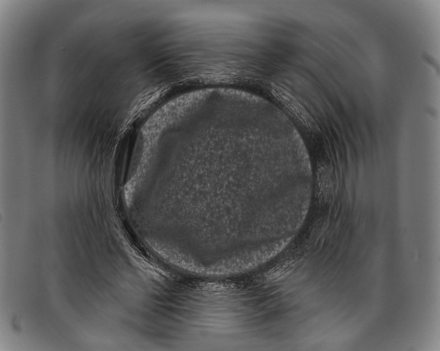 X0000097850494200804041510