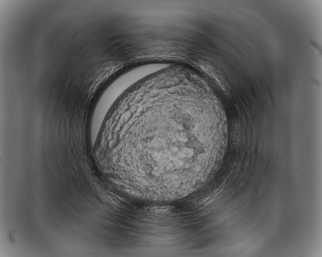 X0000097850495200804041510