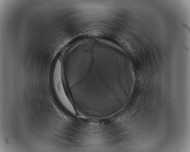 X0000097850496200804041510