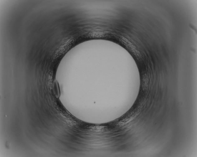 X0000097850497200804041510