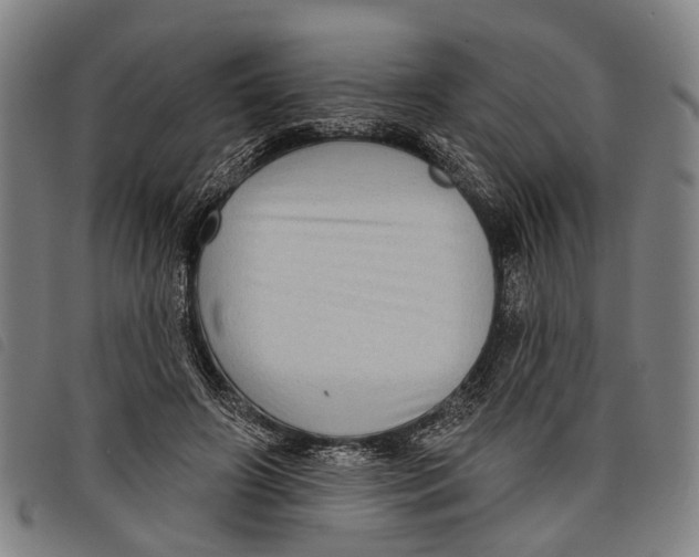 X0000097850498200804041510