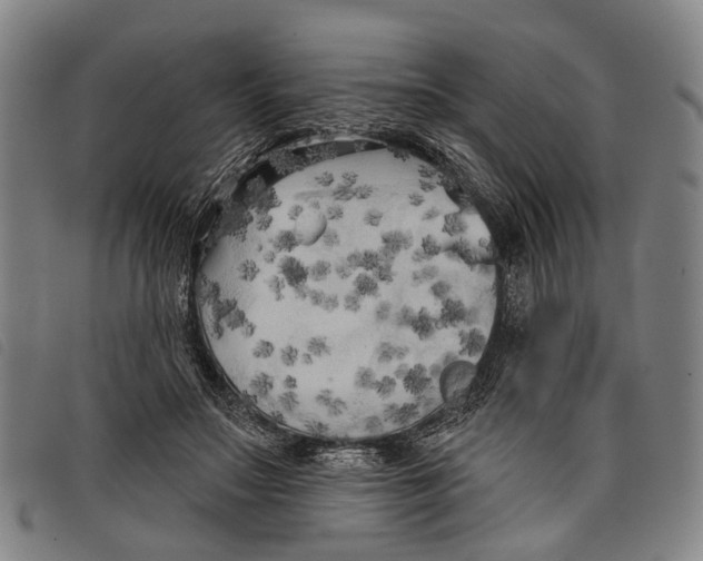 X0000097850499200804041510