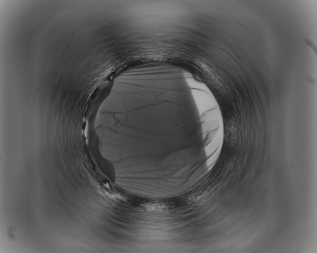 X0000097850500200804041510