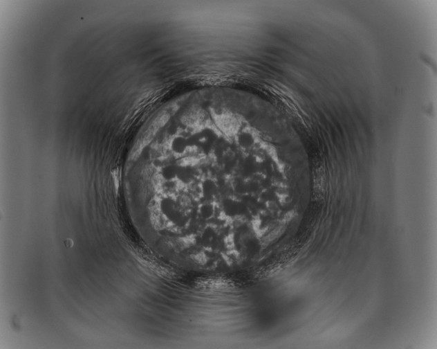 X0000097850503200804041510