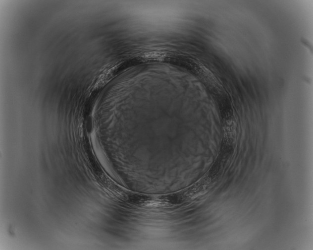 X0000097850504200804041510