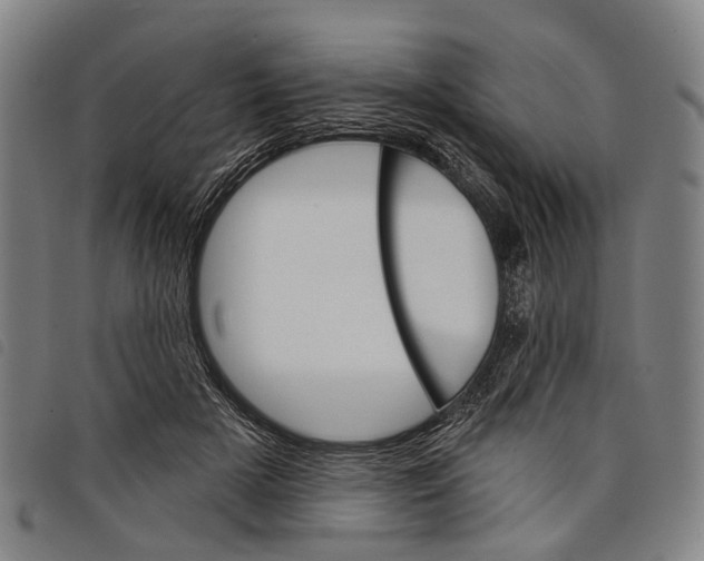 X0000097850505200804041510