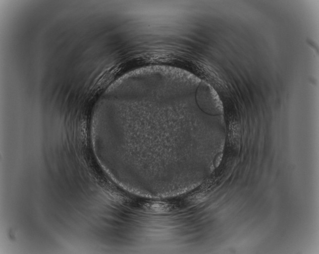 X0000097850506200804041510