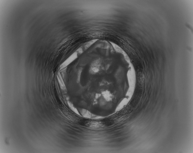 X0000097850507200804041510