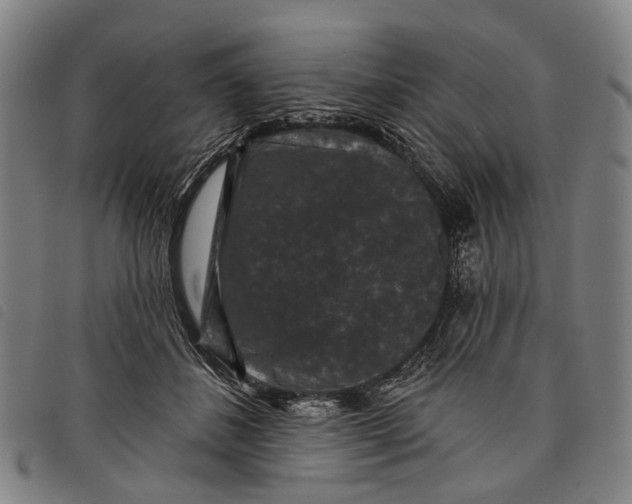 X0000097850508200804041510