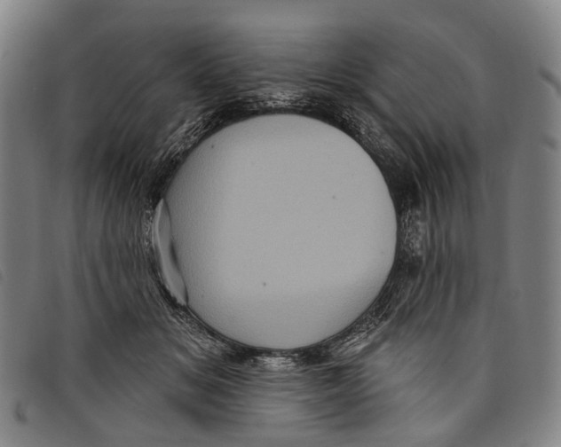 X0000097850509200804041509