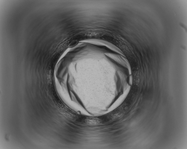 X0000097850510200804041509