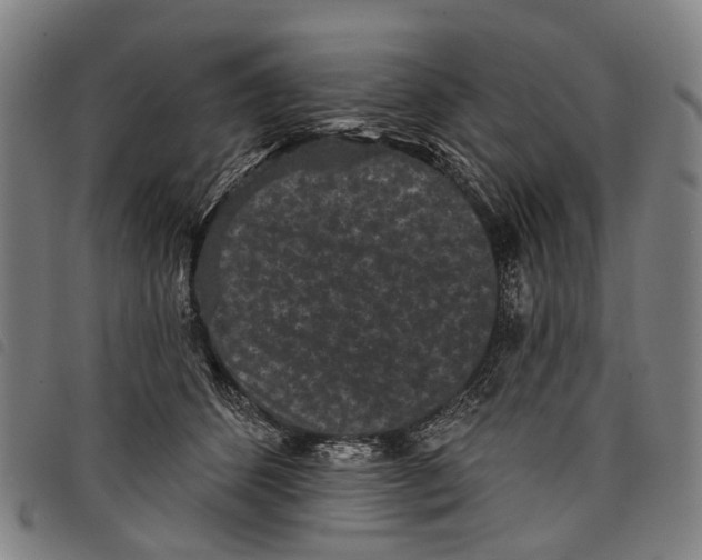 X0000097850512200804041509