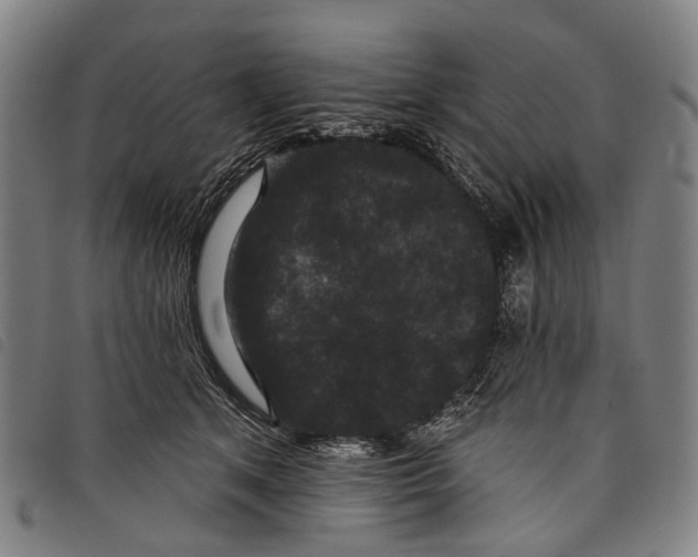 X0000097850513200804041509