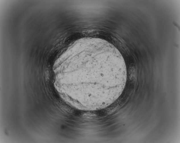 X0000097850515200804041509