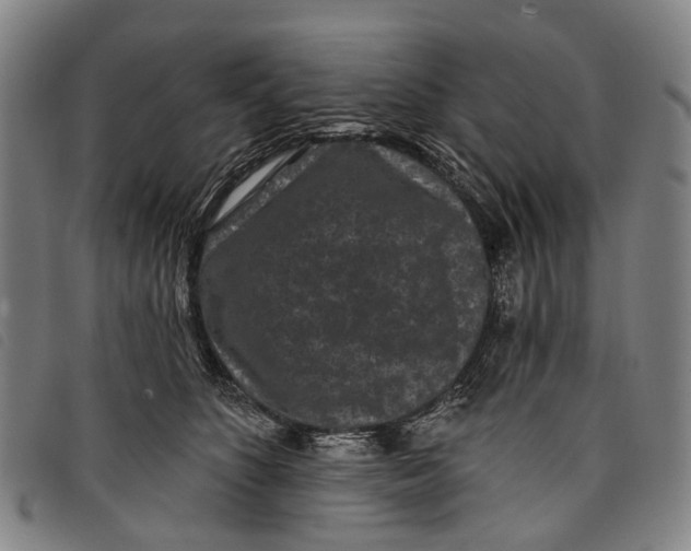 X0000097850516200804041509