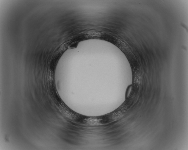 X0000097850518200804041509