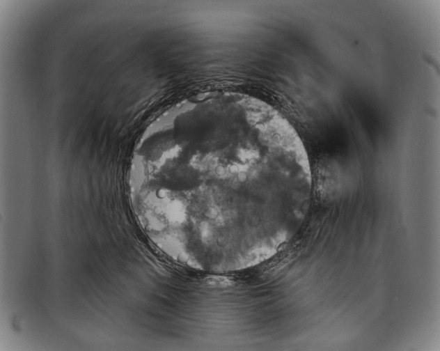 X0000097850519200804041509