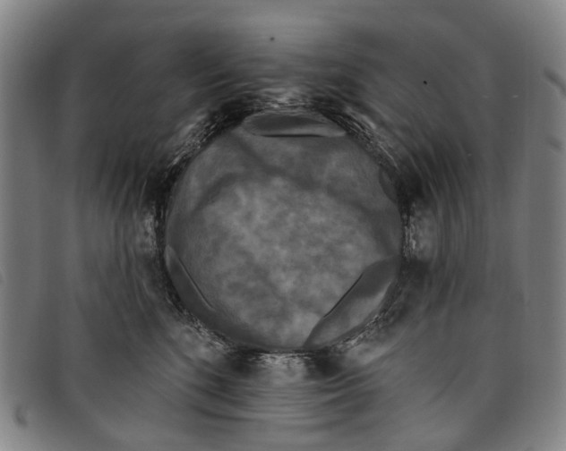 X0000097850520200804041509