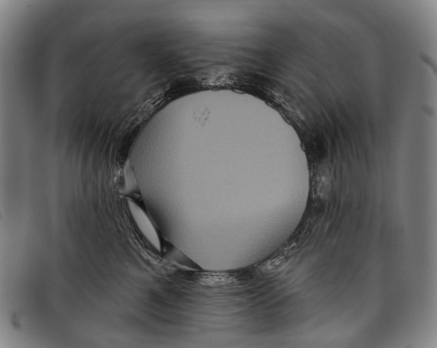 X0000097850521200804041509