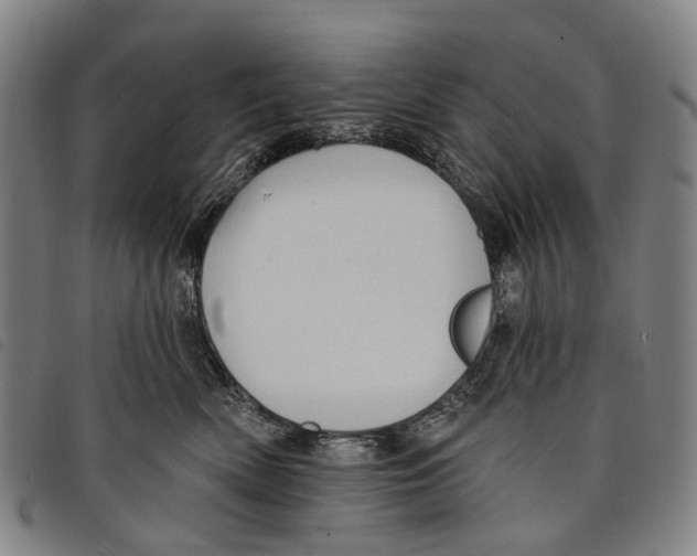 X0000097850522200804041509