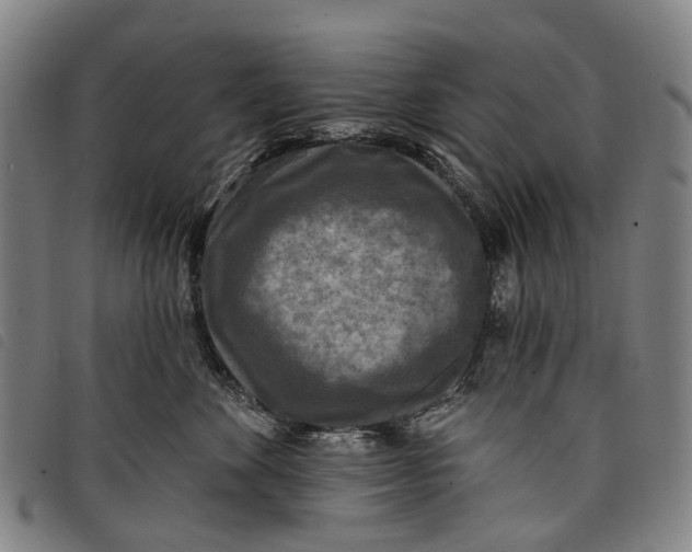 X0000097850524200804041509