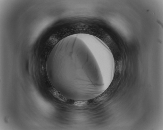 X0000097850526200804041509